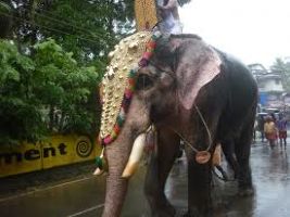 Njangattiri Aanayoottu